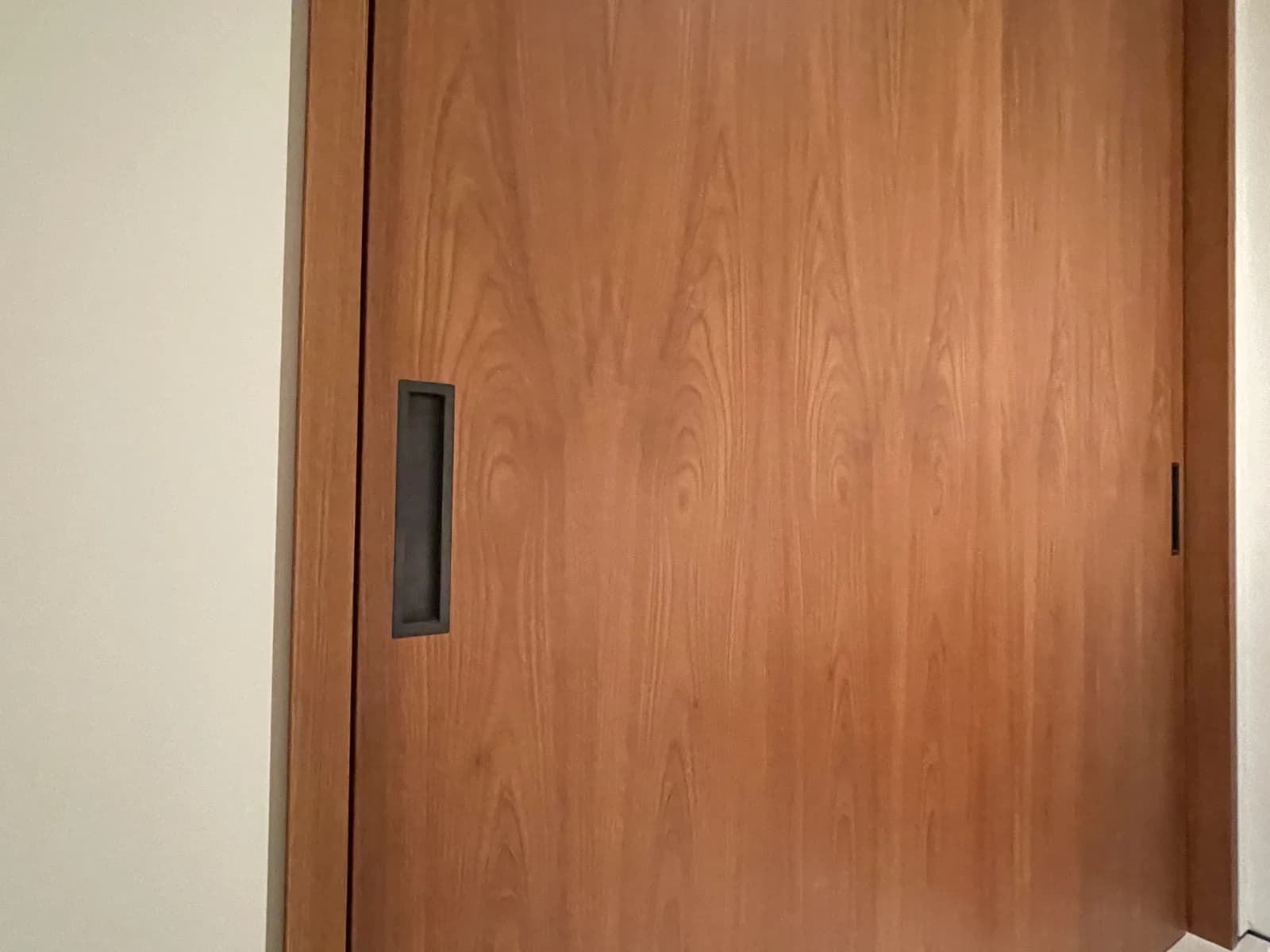 A tall slab door in warm walnut veneer, set flush in a white wall.